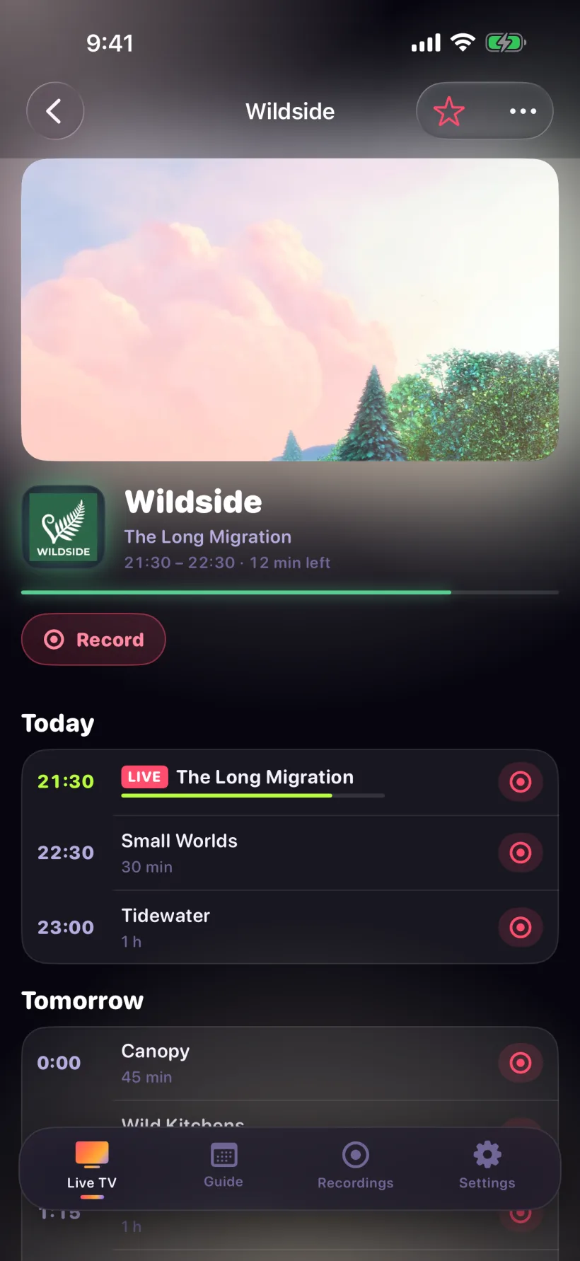 A Demo channel with its schedule and Record button